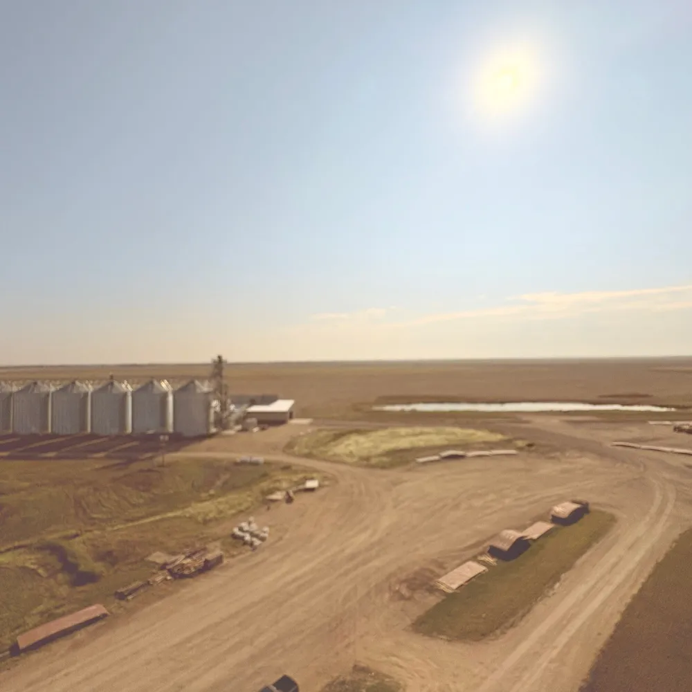 Partial Site Overview